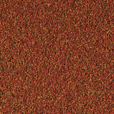 غذا ماهی نانوویت گرانول ریز تروپیکال (NANOVIT GRANULAT) 10 گرمی