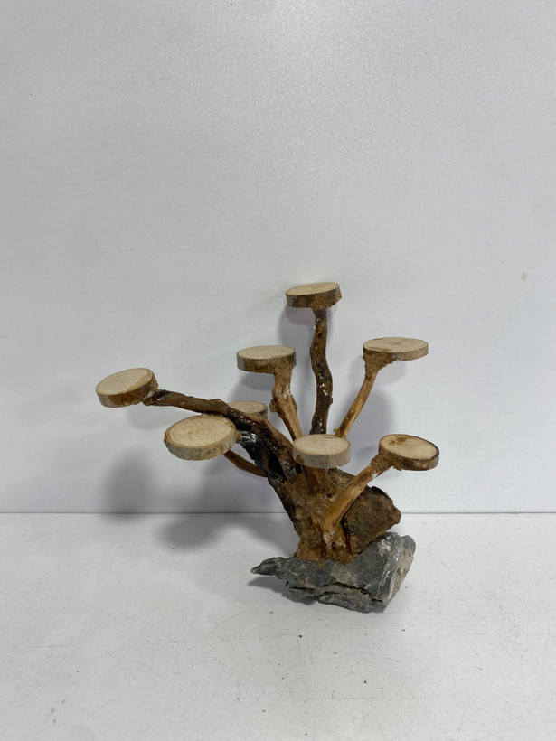 دکوری درختچه بنسای (دست ساز)