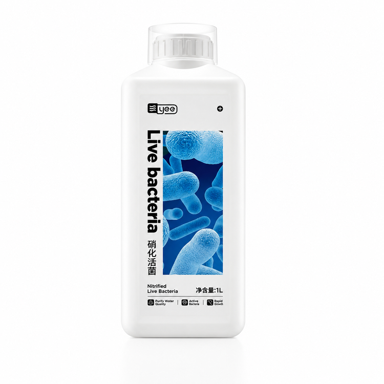 باکتری زنده yee Live Bacteria YYH-191