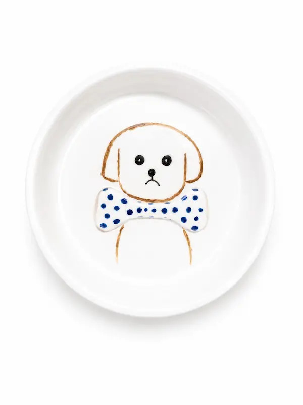 ظرف اب و غذا سرامیکی